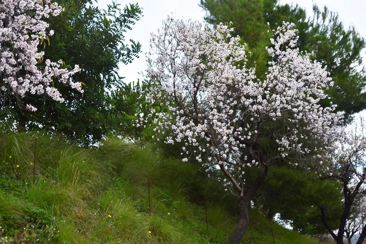 Casa Jardin Natural Sedella スペイン