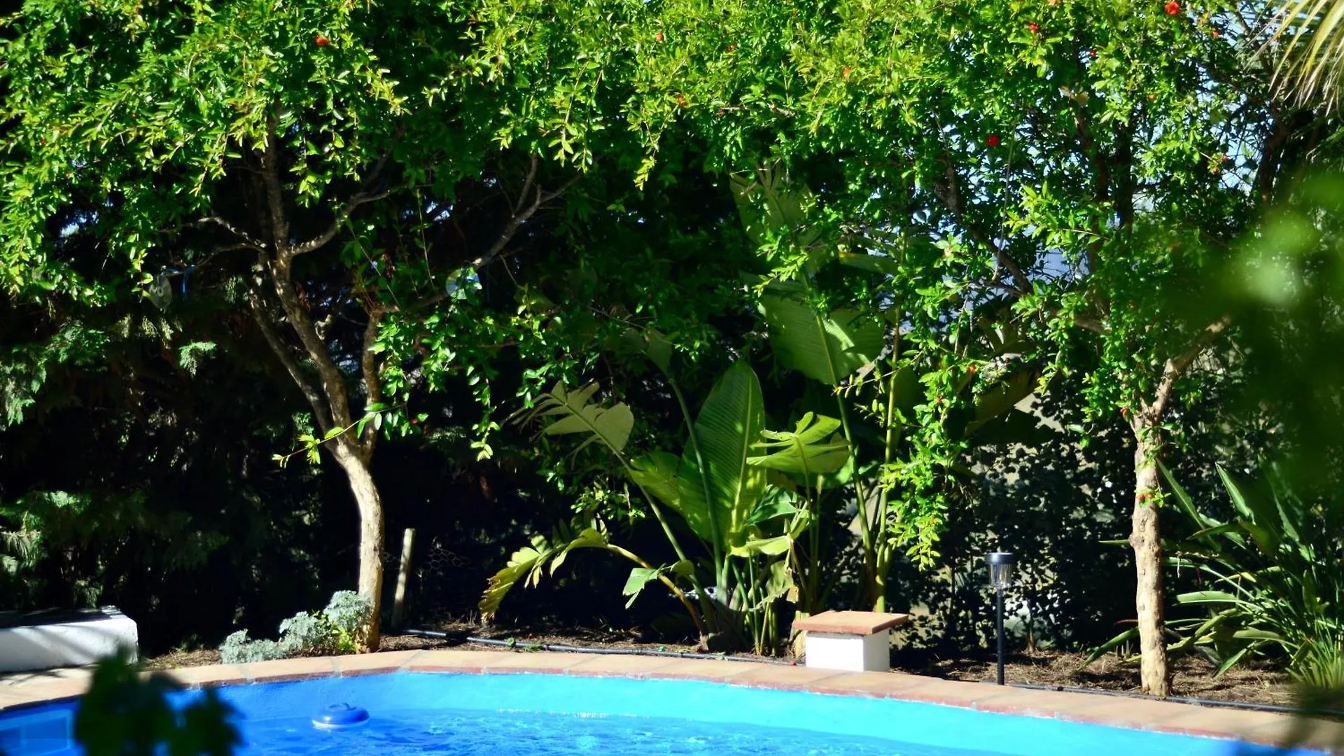Casa Jardin Natural Sedella 0*,  スペイン